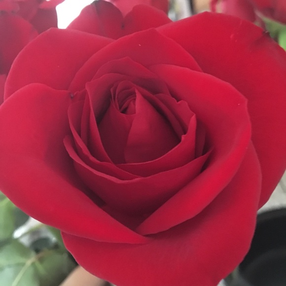 Meet your Posher, Natalie - Picture 1 of 2